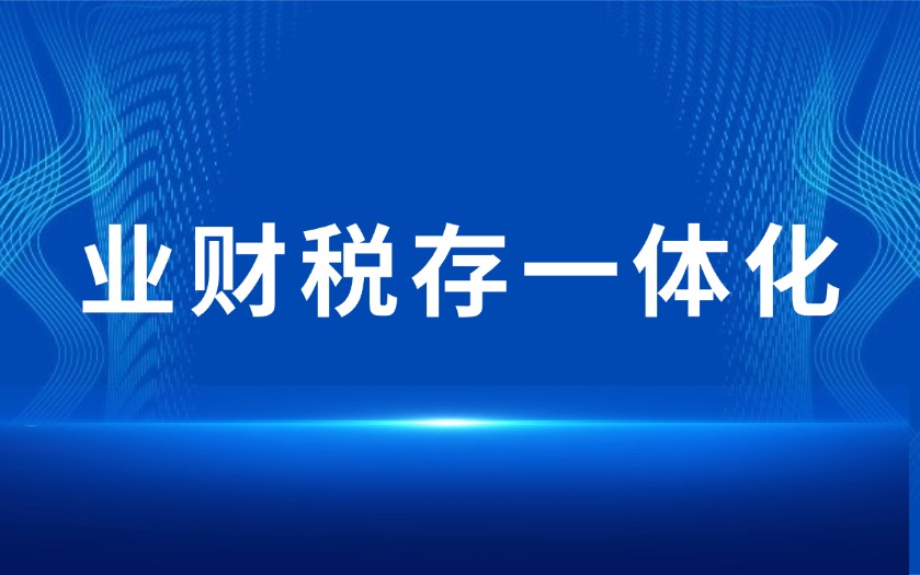 外贸企业数字化解决方案:业财税存一体化